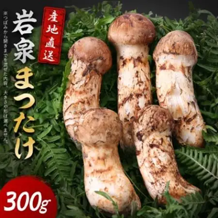 【2026秋発送】岩泉まつたけ 直送 300g_野菜 松茸 きのこ まつたけ マツタケ_【配送不可地域：離島】【1423380】