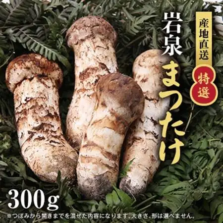 【2026秋発送】【特選】岩泉まつたけ 直送 300g_野菜 松茸 きのこ まつたけ マツタケ_【配送不可地域：離島】【1423393】
