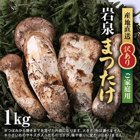 【2026秋発送】【訳あり】ご家庭用 岩泉まつたけ 直送 1kg_野菜 松茸 きのこ まつたけ マツタケ_【配送不可地域：離島】【1423396】