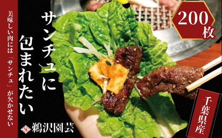  サンチュ  合計200枚