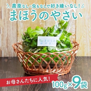 SA2136　「まほうのやさい すこやかセット」　ベビーリーフ　計900g(100g×9袋)