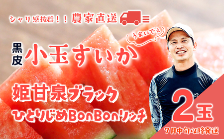 スイカ 黒皮 小玉スイカ 姫甘泉ブラック ひとりじめBonBonリッチ 1箱 2玉