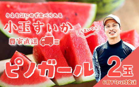 スイカ 小玉スイカ ピノ・ガール 2玉 2026年 大里農園