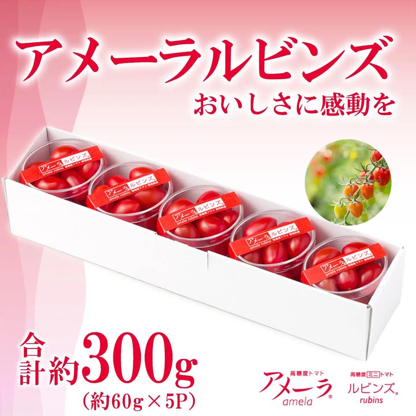 ミニトマト アメーラルビンズ 約60g×5P ミニトマト