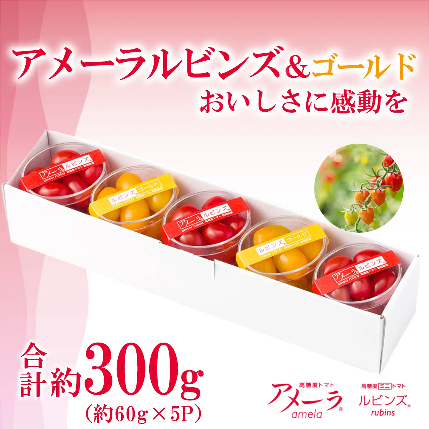 ミニトマト アメーラルビンズ＆ルビンズゴールド 約60g×5P ミニトマト