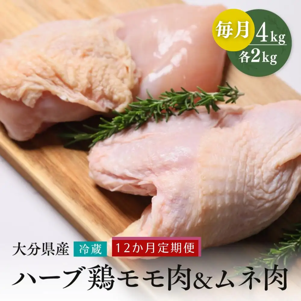 【もも肉・むね肉各2kg/12ヶ月定期便】大分県産ハーブ鶏 計48kg | ハーブ鶏