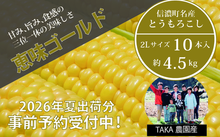 【2026年夏の予約受付開始！】信濃町名産とうもろこし『TAKA農園の恵味（めぐみ）ゴールド』2Lサイズ（1本450ｇ相当）×10本セット、約4.5kg／スイートコーンの人気品種、予約受付中！  令和8年7月下旬から8月下旬まで随時出荷予定【長野県信濃町ふるさと納税】