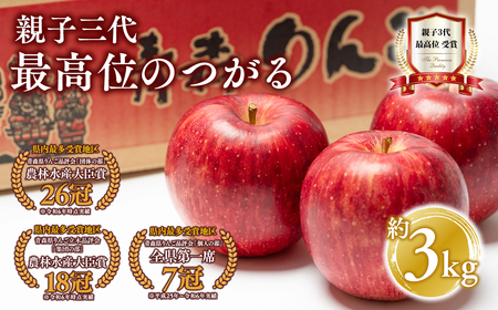 【レビューキャンペーン】【9月発送】 親子三代最高位のつがる 約3kg【全国ふじコンテスト最高賞受賞農園・平川市広船産りんご】[hi-0003-030]