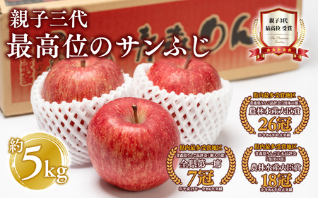 【レビューキャンペーン】【1月発送】 親子三代最高位のサンふじ約5kg【全国ふじコンテスト最高賞受賞農園・平川市広船産りんご】[hi-0003-016]