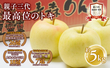 【レビューキャンペーン】【10月発送】親子三代最高位のトキ約5kg【全国ふじコンテスト最高賞受賞農園・平川市広船産りんご】[hi-0003-019]