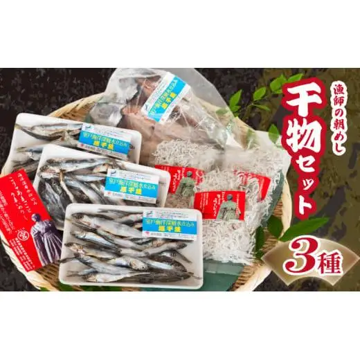 干物3点セット アジの開き ちりめんじゃこ ほたれ干物干物干物干物アジ