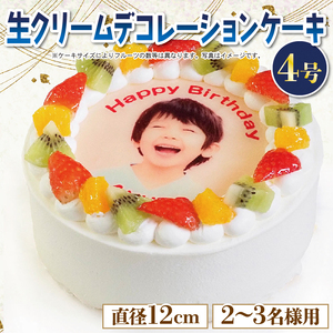 フルーツケーキ 4号 写真ケーキ 冷凍 ケーキ