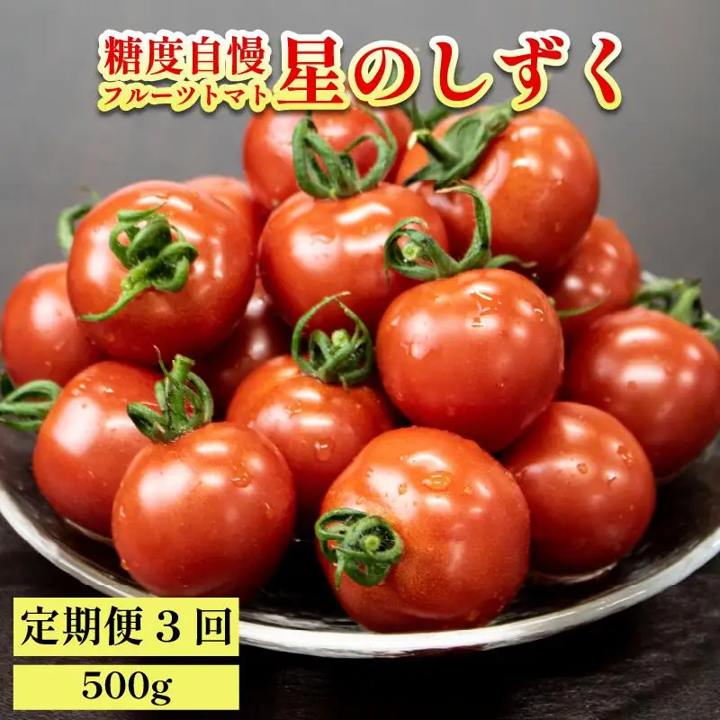 定期便 3回 フルーツトマト 500g 星のしずく 【 トマト 】