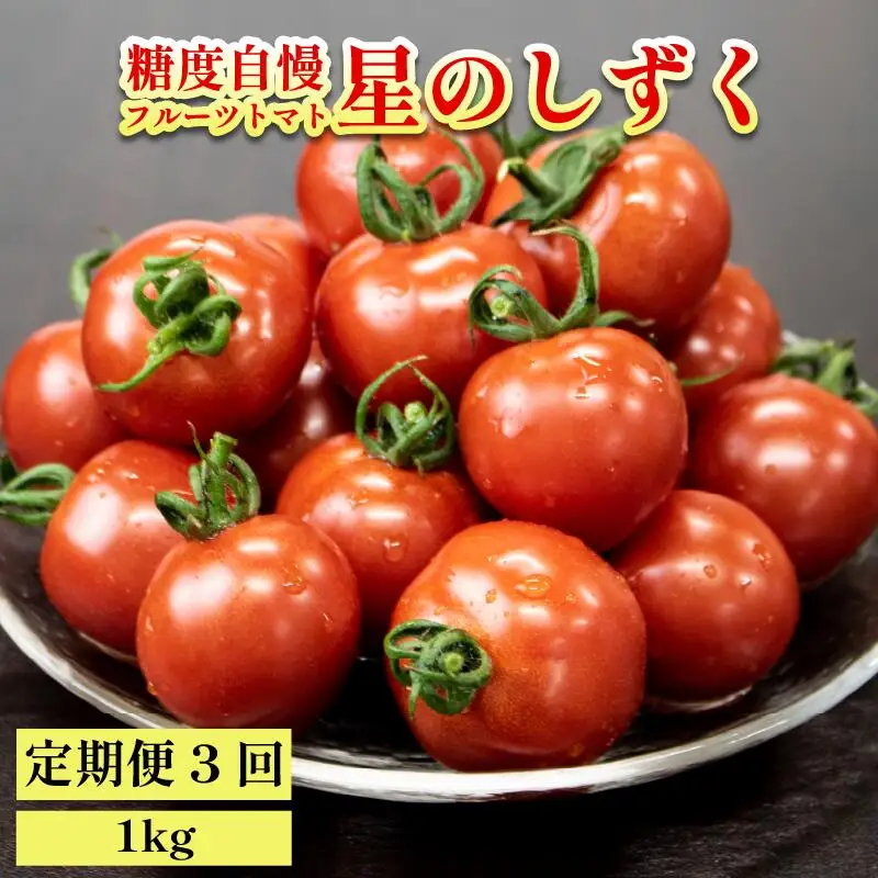 定期便 3回 フルーツトマト 1kg 星のしずく トマト