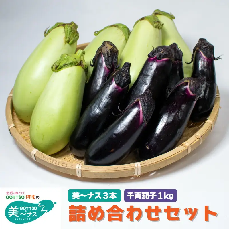 千両茄子 約1kg 美～ナス 3本 詰合せ 翡翠茄子 千両なす 茄子 ナス なす