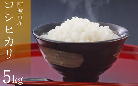 コシヒカリ 5kg 令和7年産 米 こめ ご飯 ごはん おにぎり お米 お米 お