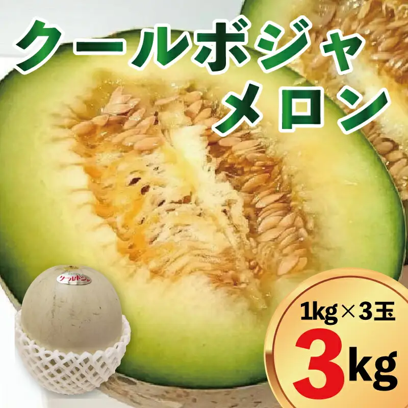 メロン 3kg 3玉 クールボジャ 希少種 メロン