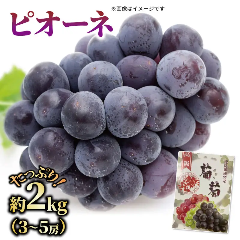 ぶどう ピオーネ 2kg 3～5房 ぶどう ピオーネ