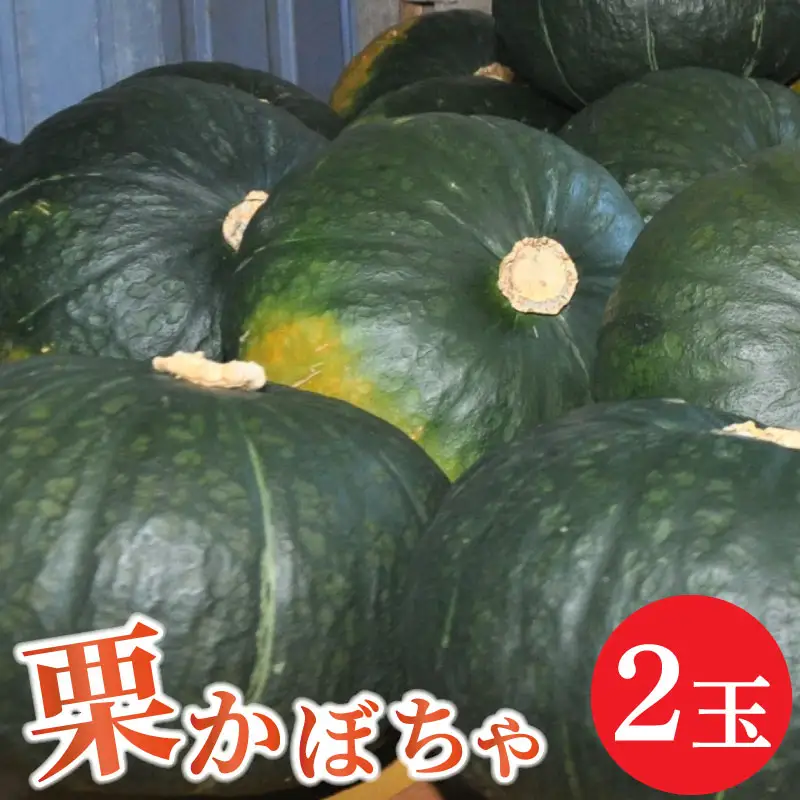 かぼちゃ 2玉 南瓜 品種おまかせ