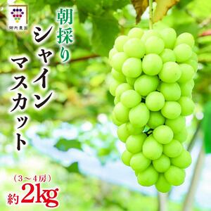 シャインマスカット 2kg ＜出荷時期：2026年8月下旬～9月下旬頃＞ ぶどう 葡萄