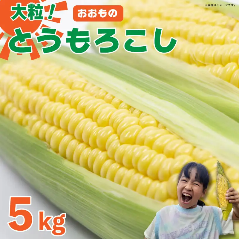 とうもろこし 5kg スイートコーン おおもの とうもろこし