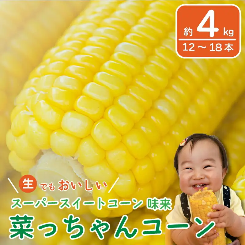 とうもろこし みらい 約4kg 12～18本 コーン スイートコーン とうもろこし 