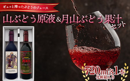 山ぶどう原液・月山ぶどう果汁セット （720ml 各1本） 化粧箱入り F2Y-5572