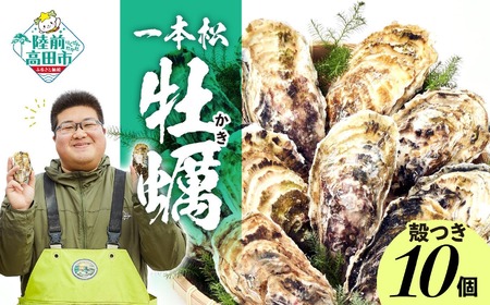 『一本松牡蠣』 生食用殻付き牡蠣 10個セット