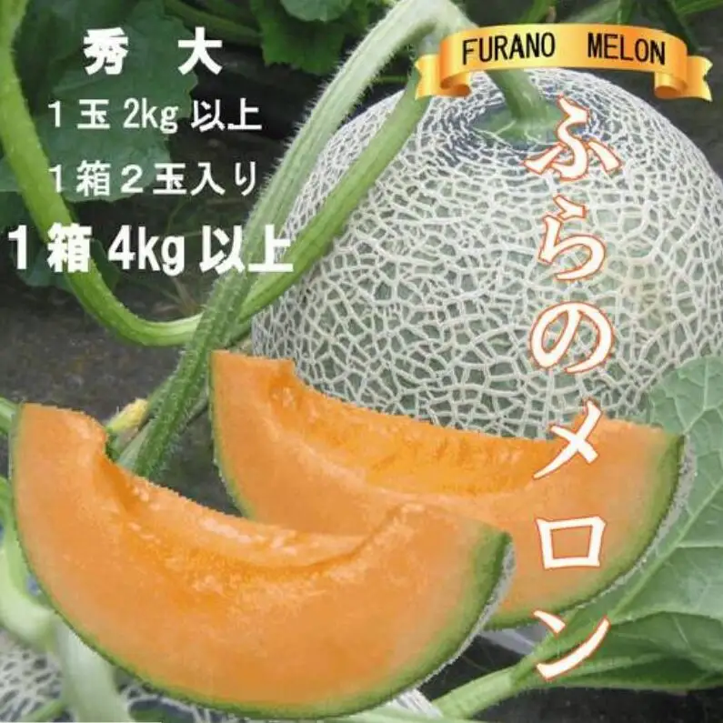 2026年夏発送【先行受付】 ふらのメロン 赤肉 秀大2玉 計4kg以上 富良野メロン 赤肉 めろん 北海道 甘い 大きい 果物 フルーツ