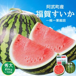 【先行予約】 福賀 すいか 秀大 約9〜10kg 圧巻の大玉＆シャリシャリ食感 高糖度 山口県 阿武町産 1個（希少1株1玉栽培） 産地直送 【2026年7月上旬～順次発送予定】