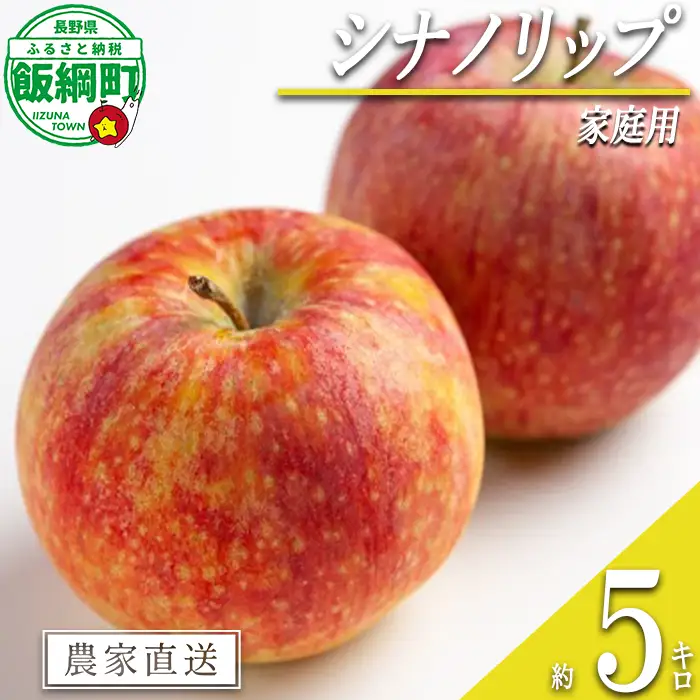 りんご シナノリップ 家庭用 5kg 信州いいづな 相澤農園株式会社 2026年8月中旬頃から2026年9月上旬頃まで順次発送予定 令和8年度収穫分 長野県 飯綱町 [1846]