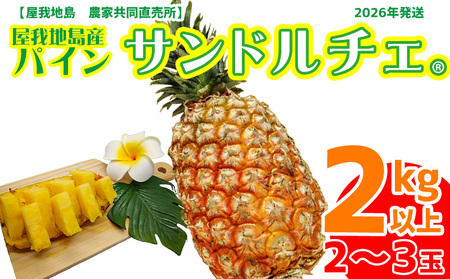 2026年【屋我地島　農家協同直売所】　屋我地島のサンドルチェ2kg以上 沖縄 なご パイナップル 県産 お取り寄せ 厳選 こだわり 果物 くだもの あまい 酸味 お土産 食べ物 美味しい 南国 おきなわ オキナワ やんばる トロピカル パイン