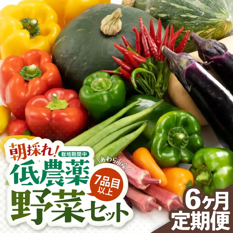 【6ヶ月連続お届け】農家直送 旬の野菜セット 7品目以上 1箱 ／ 定期便 6回 季節 野菜 ボックス BOX セット セレクト 農家 おまかせ 多品目 旬 詰め合わせ 根菜 葉物 [aw028-c002]