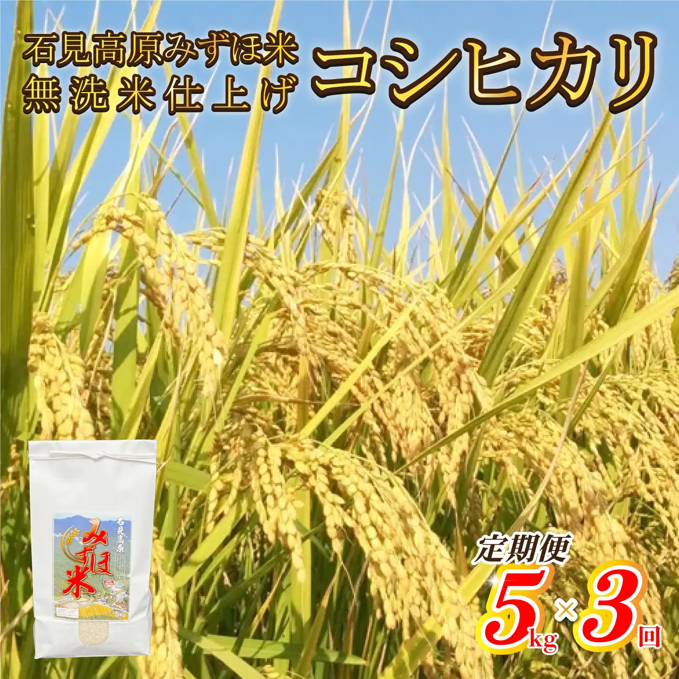 【定期便】令和7年産!　石見高原みずほ米コシヒカリ 無洗米仕上 5kg×3回