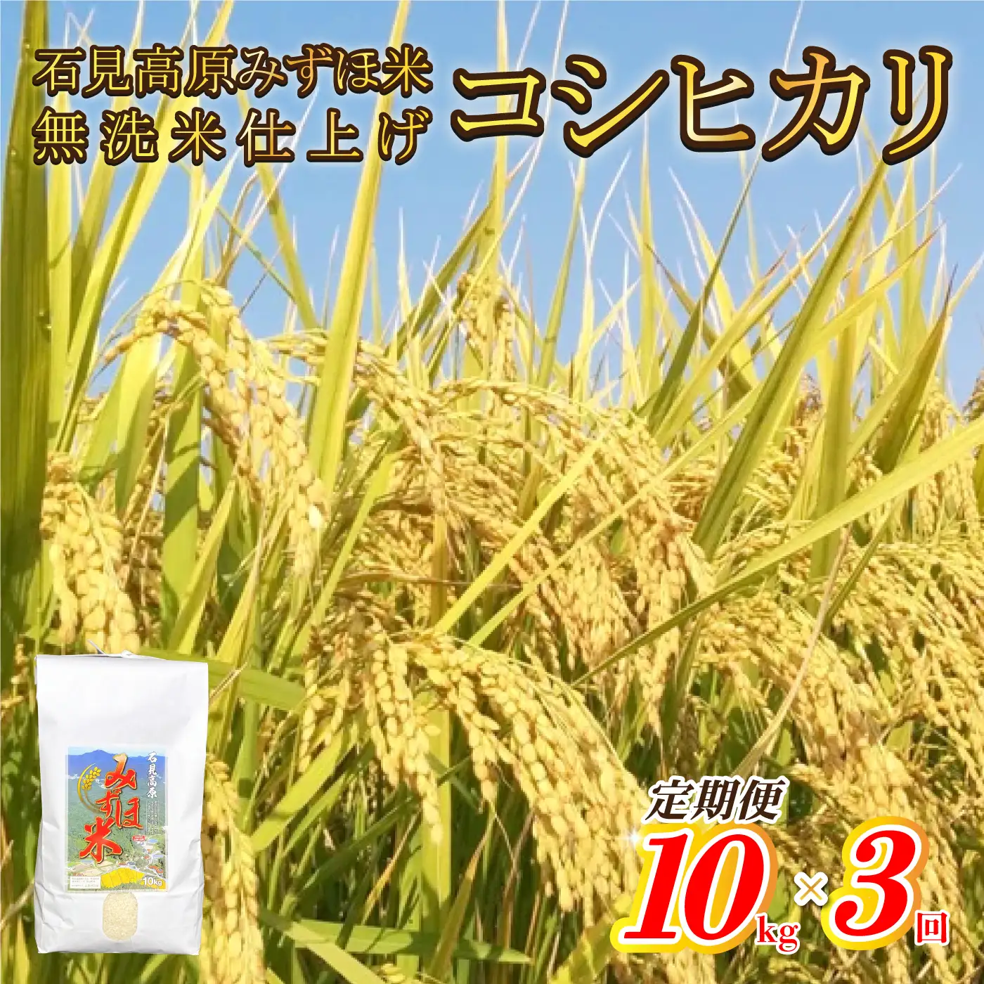 【定期便】令和7年産産高原みずほ米コシヒカリ 無洗米仕上 10kgｘ3回