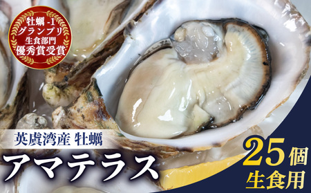 【生食用】 牡蠣 25個 生牡蠣 生食 殻付き 英虞湾産 シングルシードオイスター 「アマテラス」 牡蠣