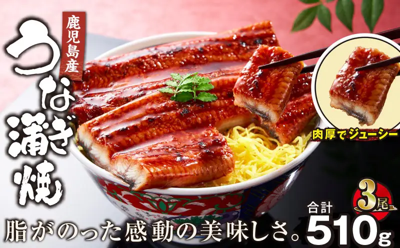 【 土用の丑の日特集 】 2443 鹿児島産うなぎ 合計510g（170g×3尾） KN021-014-03 鰻 魚 惣菜 総菜