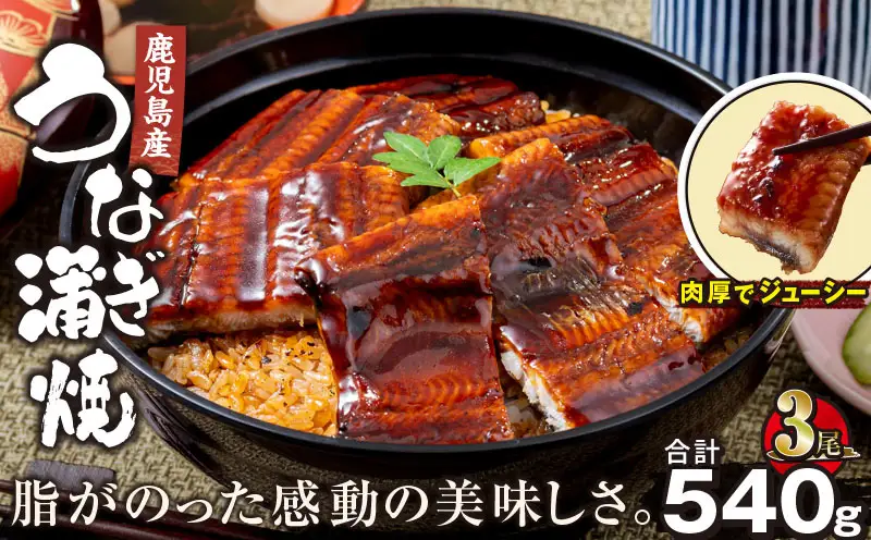 【 土用の丑の日特集 】 2446 鹿児島産うなぎ 合計540g（180g×3尾） KN021-015-03 鰻 魚 惣菜 総菜