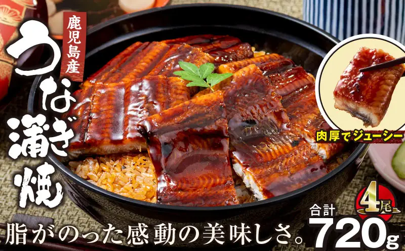 【 土用の丑の日特集 】 2447 鹿児島産うなぎ 合計720g（180g×4尾） KN021-015-04 鰻 魚 惣菜 総菜