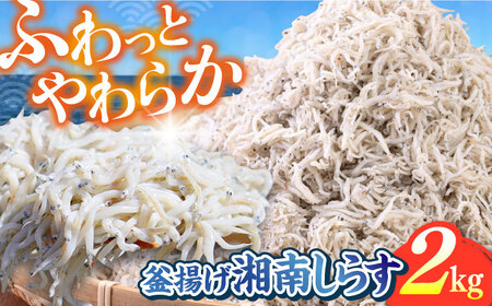 釜揚げ 湘南しらす 1kg×２P [AKEZ004]しらす