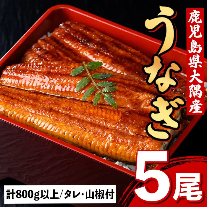 【C57003】うなぎ蒲焼・大(有頭)(5尾・計800g以上)(タレ・山椒付)鹿児島 国産 鰻 うなぎ ウナギ 蒲焼き うな丼 うな重 ひつまぶし 土用の丑の日 真空パック お土産 贈答 ギフト プレゼント【一般社団法人きもつき宇宙協議会】