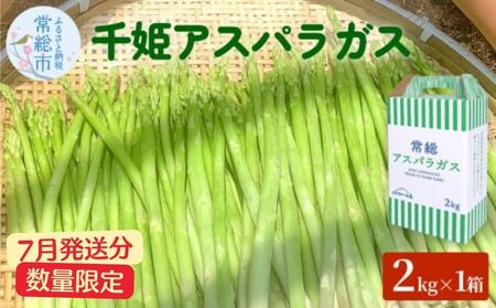 【7月発送分】千姫アスパラガス 丁寧にすべてを手作業で丹精を込めて作りあげた 自信のアスパラガス ※2026年7月～発送