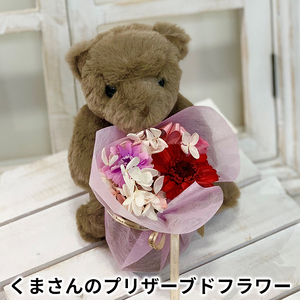 くまさんのプリザーブドフラワーギフト プレゼント お祝い 花 苗木 はな なえぎ 