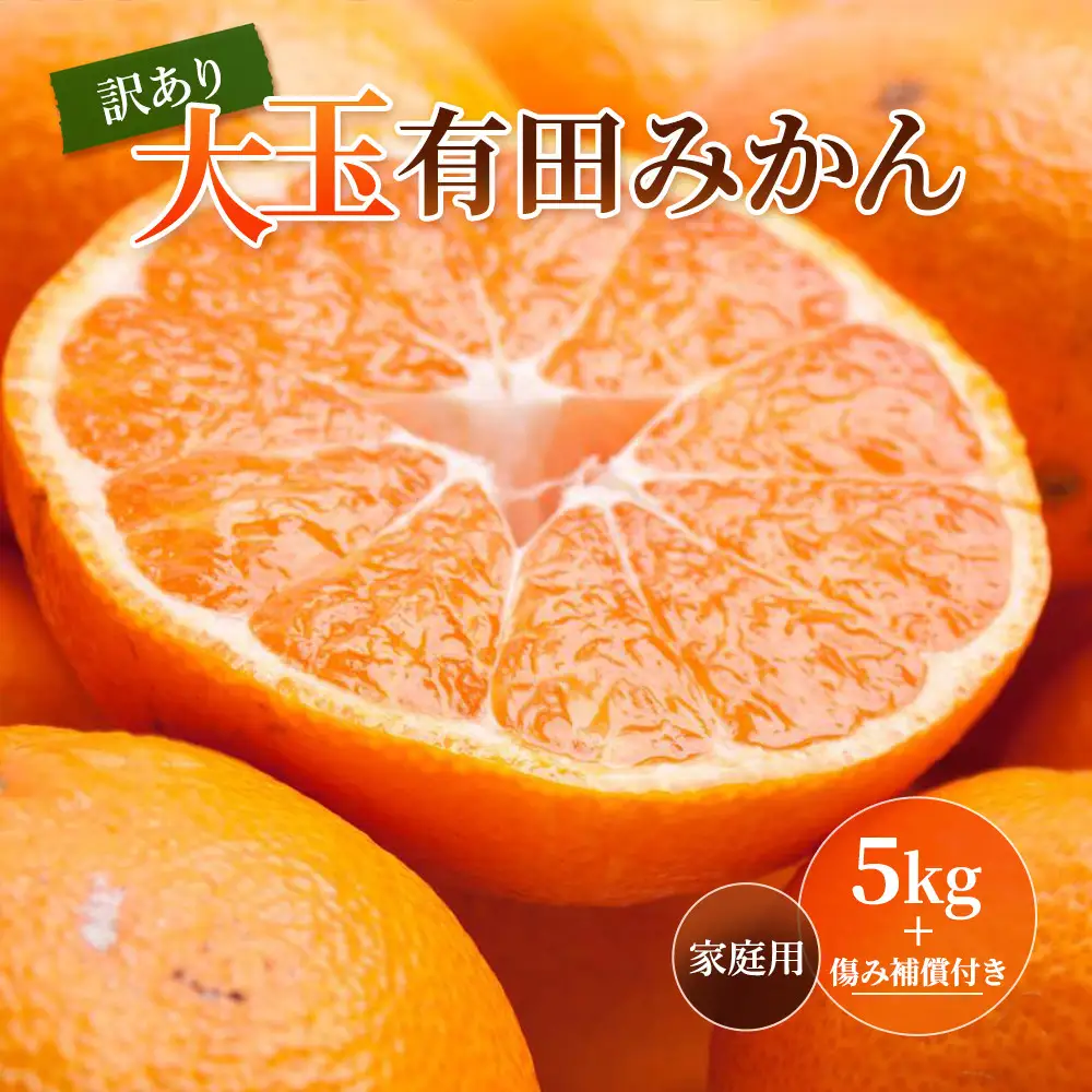 ［先行予約］家庭用 大きな有田みかん5kg+250g（傷み補償分）［2026年11月中旬から2027年1月末日頃、順次発送予定］［IKE244］