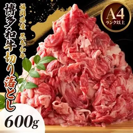 博多和牛切り落とし　600g_肉 黒毛和牛 牛肉 _【配送不可地域：離島】【1514638】