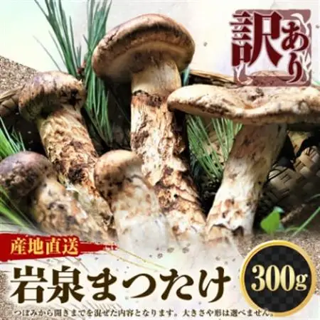 【2026秋発送】【訳アリ】 岩泉まつたけ  300g　家庭用にどうぞ_野菜 松茸 きのこ まつたけ マツタケ_【配送不可地域：離島】【1423709】