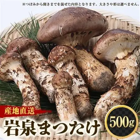 【2026秋発送】≪産地直送≫　岩泉まつたけ  500g_野菜 松茸 きのこ まつたけ マツタケ_【配送不可地域：離島】【1423715】