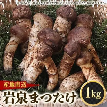 【2026秋発送】≪産地直送≫　岩泉まつたけ  1kg_野菜 松茸 きのこ まつたけ マツタケ_【配送不可地域：離島】【1423716】