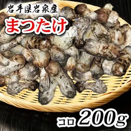 【2026秋発送】岩泉まつたけ　コロ200g_野菜 松茸 きのこ まつたけ マツタケ_【配送不可地域：離島】【1518201】