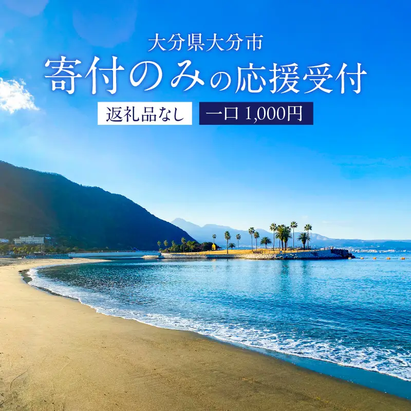 大分県大分市 返礼品なし（寄附のみの受付となります） 一口1,000円 Z03001